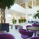 Interior Office Photography, Genzyme Cambridge