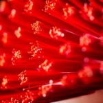 Macro_Product_Photography East Anglia